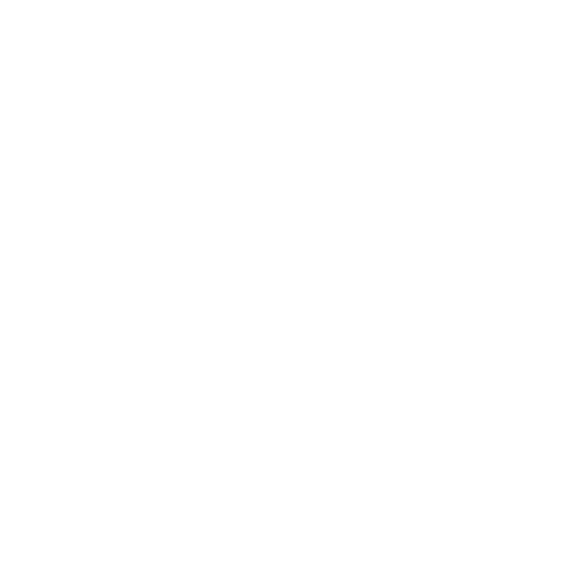 Visi